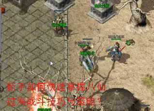 新手如何快速掌握八仙过海战斗技巧与策略? 新手如何快速掌握八仙过海战斗技巧与策略?