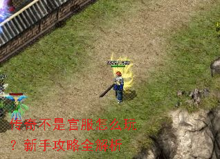 传奇不是官服怎么玩?新手攻略全解析 传奇不是官服怎么玩?新手攻略全解析