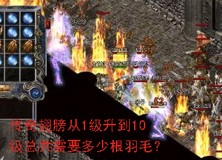 传奇翅膀从1级升到10级总共需要多少根羽毛? 传奇翅膀从1级升到10级总共需要多少根羽毛?