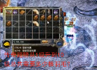 传奇翅膀从1级升到10级总共需要多少根羽毛? 传奇翅膀从1级升到10级总共需要多少根羽毛?