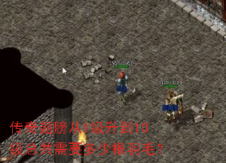 传奇翅膀从1级升到10级总共需要多少根羽毛? 传奇翅膀从1级升到10级总共需要多少根羽毛?