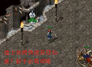 道士如何快速获取仙翼?新手必看攻略 道士如何快速获取仙翼?新手必看攻略