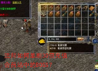 ��ʦ��ε�ˢ30����ֵ��Ավ�е�BOSS��
