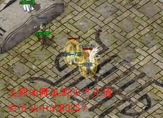 ��ʦ��ε�ˢ30����ֵ��Ավ�е�BOSS��