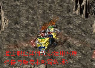 道士职业如何巧妙运用召唤神兽与施毒术制霸战场? 道士职业如何巧妙运用召唤神兽与施毒术制霸战场?