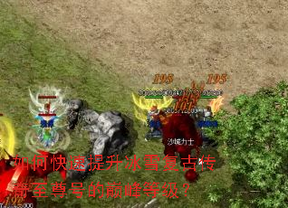 如何快速提升冰雪复古传奇至尊号的巅峰等级? 如何快速提升冰雪复古传奇至尊号的巅峰等级?