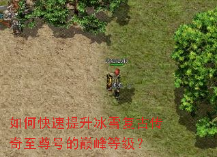 如何快速提升冰雪复古传奇至尊号的巅峰等级? 如何快速提升冰雪复古传奇至尊号的巅峰等级?
