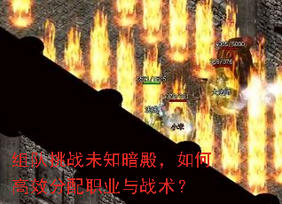 组队挑战未知暗殿,如何高效分配职业与战术? 组队挑战未知暗殿,如何高效分配职业与战术?