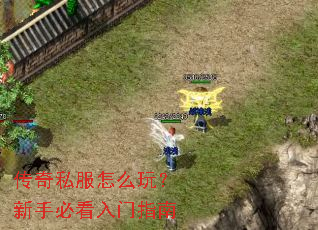 传奇私服怎么玩?新手必看入门指南 传奇私服怎么玩?新手必看入门指南