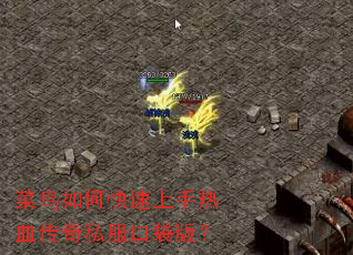 菜鸟如何快速上手热血传奇私服口袋版? 菜鸟如何快速上手热血传奇私服口袋版?