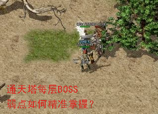通天塔每层BOSS弱点如何精准掌握? 通天塔每层BOSS弱点如何精准掌握?