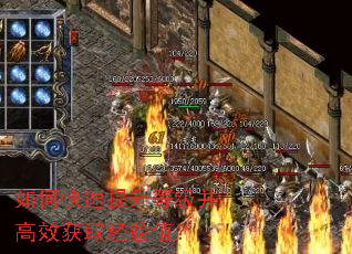 如何快速提升等级并高效获取经验值? 如何快速提升等级并高效获取经验值?