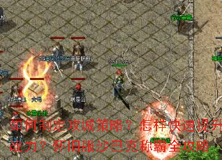 如何制定攻城策略?怎样快速提升战力?怀旧服沙巴克称霸全攻略 如何制定攻城策略?怎样快速提升战力?怀旧服沙巴克称霸全攻略