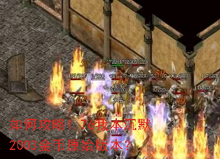 如何攻略1.76我本沉默2003金币原始版本? 如何攻略1.76我本沉默2003金币原始版本?