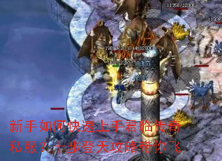 新手如何快速上手君临传奇私服?十步登天攻略带你飞 新手如何快速上手君临传奇私服?十步登天攻略带你飞