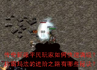 传奇新服平民玩家如何快速满级?称霸玛法的进阶之路有哪些秘诀? 传奇新服平民玩家如何快速满级?称霸玛法的进阶之路有哪些秘诀?