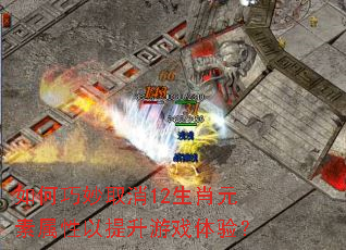 如何巧妙取消12生肖元素属性以提升游戏体验? 如何巧妙取消12生肖元素属性以提升游戏体验?