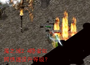 魔之域2.4隐者如何快速提升等级? 魔之域2.4隐者如何快速提升等级?