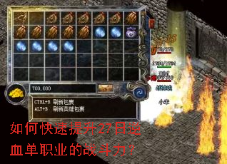 如何快速提升27日逆血单职业的战斗力? 如何快速提升27日逆血单职业的战斗力?