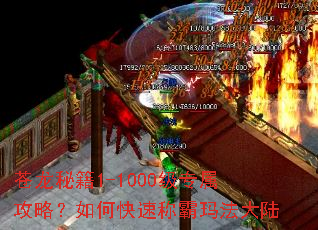 苍龙秘籍1-1000级专属攻略?如何快速称霸玛法大陆 苍龙秘籍1-1000级专属攻略?如何快速称霸玛法大陆