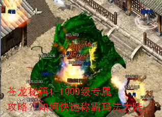 苍龙秘籍1-1000级专属攻略?如何快速称霸玛法大陆 苍龙秘籍1-1000级专属攻略?如何快速称霸玛法大陆