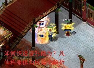 如何快速提升修为?凡仙私服修仙秘籍全解析 如何快速提升修为?凡仙私服修仙秘籍全解析