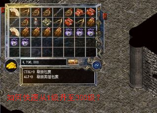 如何快速从1级升至300级? 如何快速从1级升至300级?
