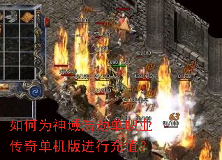 如何为神域浩劫单职业传奇单机版进行充值? 如何为神域浩劫单职业传奇单机版进行充值?