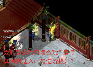 龙驹新服传奇怎么玩?新手如何快速入门与进阶提升? 龙驹新服传奇怎么玩?新手如何快速入门与进阶提升?