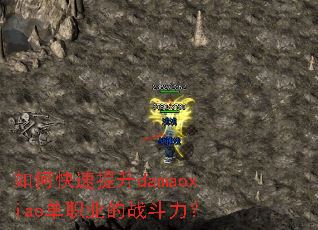 如何快速提升damaoxiao单职业的战斗力? 如何快速提升damaoxiao单职业的战斗力?