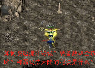 如何快速提升等级?装备获取全攻略?称霸玛法大陆的秘诀是什么? 如何快速提升等级?装备获取全攻略?称霸玛法大陆的秘诀是什么?