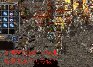 如何高效提升单职业精灵的战斗力等级? 如何高效提升单职业精灵的战斗力等级?