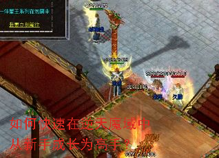 如何快速在逆天魔域中从新手成长为高手? 如何快速在逆天魔域中从新手成长为高手?