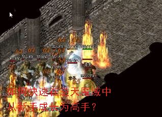 如何快速在逆天魔域中从新手成长为高手? 如何快速在逆天魔域中从新手成长为高手?