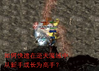 如何快速在逆天魔域中从新手成长为高手? 如何快速在逆天魔域中从新手成长为高手?