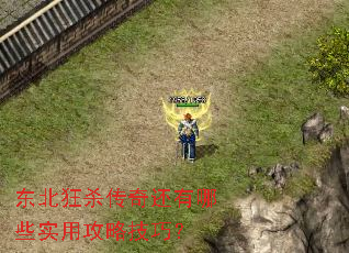 东北狂杀传奇还有哪些实用攻略技巧? 东北狂杀传奇还有哪些实用攻略技巧?
