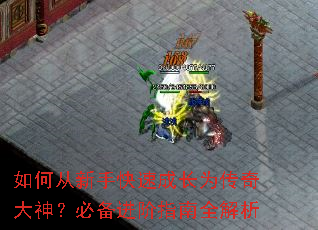 如何从新手快速成长为传奇大神?必备进阶指南全解析 如何从新手快速成长为传奇大神?必备进阶指南全解析