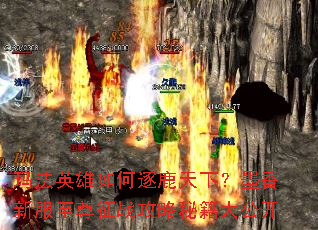 玛法英雄如何逐鹿天下?墨香新服至尊征战攻略秘籍大公开 玛法英雄如何逐鹿天下?墨香新服至尊征战攻略秘籍大公开