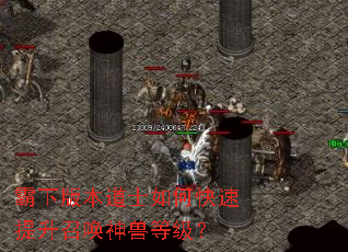 霸下版本道士如何快速提升召唤神兽等级? 霸下版本道士如何快速提升召唤神兽等级?