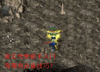 凌云传奇新手入门有哪些必备技巧? 凌云传奇新手入门有哪些必备技巧?