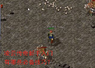 凌云传奇新手入门有哪些必备技巧? 凌云传奇新手入门有哪些必备技巧?