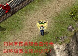 如何掌握英雄合击传奇的终极奥义释放技巧? 如何掌握英雄合击传奇的终极奥义释放技巧?