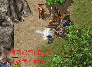 如何驾驭奇门猛将,征战传奇新服? 如何驾驭奇门猛将,征战传奇新服?