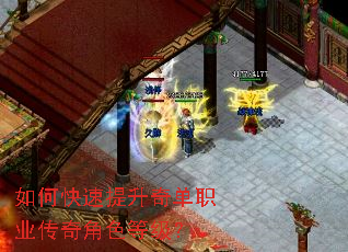 如何快速提升奇单职业传奇角色等级? 如何快速提升奇单职业传奇角色等级?