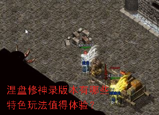 涅盘修神录版本有哪些特色玩法值得体验? 涅盘修神录版本有哪些特色玩法值得体验?