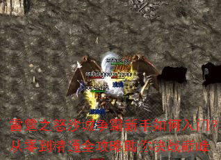 雷霆之怒沙城争霸新手如何入门?从零到精通全攻略助你决战巅峰 雷霆之怒沙城争霸新手如何入门?从零到精通全攻略助你决战巅峰