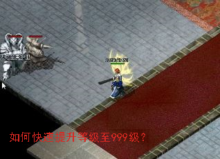 如何快速提升等级至999级? 如何快速提升等级至999级?