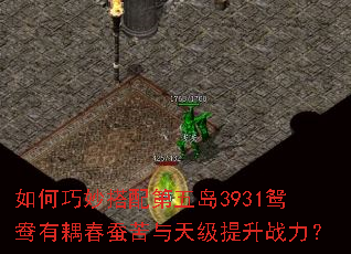 如何巧妙搭配第五岛3931鸳鸯有耦春蚕苦与天级提升战力? 如何巧妙搭配第五岛3931鸳鸯有耦春蚕苦与天级提升战力?