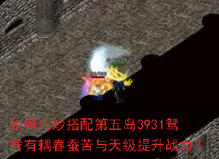 如何巧妙搭配第五岛3931鸳鸯有耦春蚕苦与天级提升战力? 如何巧妙搭配第五岛3931鸳鸯有耦春蚕苦与天级提升战力?
