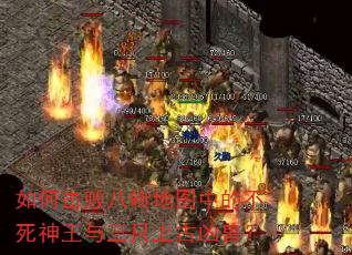 如何击败八转地图中的不死神王与三只上古凶兽? 如何击败八转地图中的不死神王与三只上古凶兽?